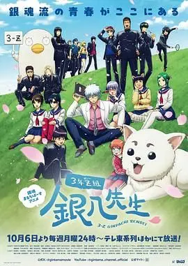 3年Z组银八老师：热血青春还是沙雕日常？这届学生太难带了！